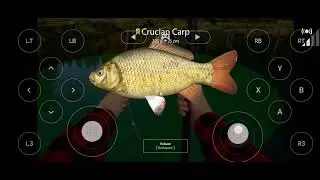 russian fishing 4 tutorial