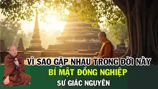 Vì Sao Gặp Nhau Trong Đời Này? Bí Mật Đồng Nghiệp | Sư Giác Nguyên | Sư Toại Khanh