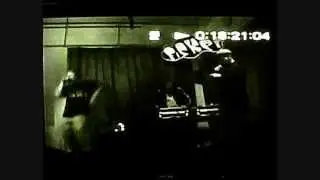Assimilated Species (live mashup, Norrk&ouml;ping 2005)
