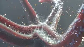 X-Particles | Cinema 4D | Octane | Tutorial - Organic Thing - Part 2