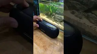 Прекрасная колонка LUNA Harman/Kardon 🔊 Тест звука #jbl #bluetoothspeaker #speaker #viral #tiktok