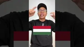 PERNAH LIAT BENDERA NEGARA INI?! #shorts #fianardyansyah #tebaktebakan