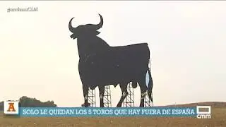 En busca del toro del Osborne