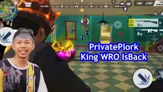 PrivatePlork King WRO IsBack - Rules of Survival