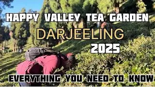 Darjeeling: This is India&rsquo;s Best Tea Garden of 2025 | Happy Valley Tea Estate West Bengal 
