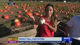 Fall family fun at Hank's Pumpkintown on Long Island