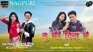 तु मेरे दिल मे | RUPESH MASTAR SONU THAKARE  | HEENA DAWAR | NAGPURI SONG | ROMANTIC VIDEO