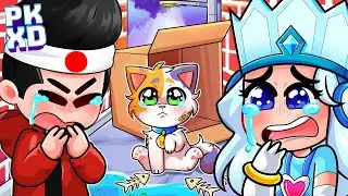 ¡ENCUENTRO UN GATITO ABANDONADO en PK XD! 😿💔 ADOPTÉ A UN GATITO ❤️  - Oddy PK XD ROLEPLAY