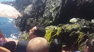 Bufador Ensenada 9/16'