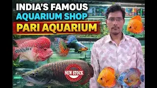 India's Best aqurium shop | Pari Aquarium | Kurla Fish Market | New stock arrived|All India Delivery