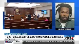 Alleged &lsquo;Blood&rsquo; gang member&rsquo;s trial postponed to later date; Accused of robbing CBD store, shooti...