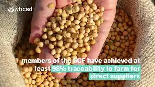 Soft Commodities Forum (SCF) &ndash; Sustainable soy production in the Cerrado, Brazil