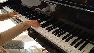 I Giorni #adventskalender#bechstein #songoftheday #ludovicoeinaudi #igiorni #prechristmas #filmmusic