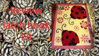 Review Latch Hook Kit Ladybug   Lovelifediy store on AliExpress