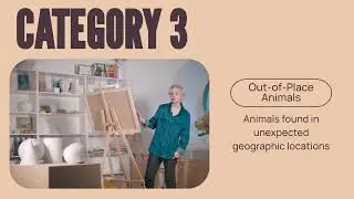BBN Academy   Categorizing the Paranormal   Cryptozoology Classification