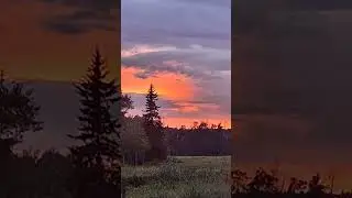 August long weekend 2025