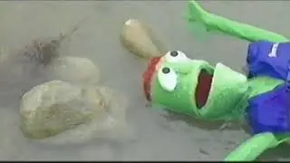 STUPID PUPPETS LOVE TO DROWN