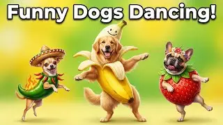 Funny Dogs Dancing TikTok Trends – Too Cute to Miss! 🎶🐶