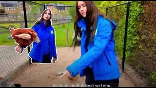 Het kippenhok schoonmaken/rondleiding bij het kippenhok{KIJK MEE OP MIJ WERKPLEK}Afl.03