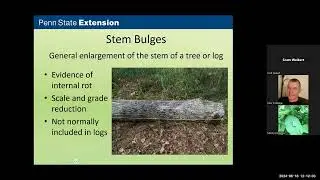 How Tree and Log Quality Affect Lumber Quality