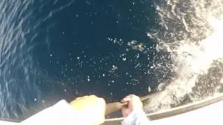 Diving underwater catch saves GoPro