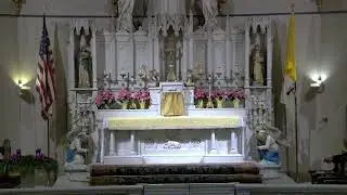Holy Mass 12/8/25 - Feast of Immaculate Conception of the Blessed Virgin Mary