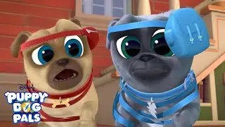 Up and at 'Em | Puppy Playcare | Puppy Dog Pals | Disney Junior