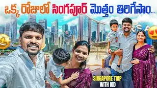Busy Day In Singapore | Big bus trip | Singapore Flyer Telugu vlog | Garden By The Bay | Adi Reddy