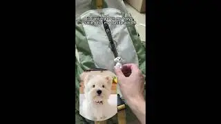 Clear 3D Dog Keychain Filled with Your Pet&rsquo;s Fur &ndash; Unique Memorial Gift