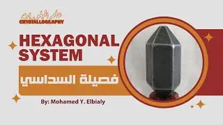 Hexagonal System | فصيلة السداسي