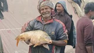 Frish fishing dariya ravi river live hunt bt k sath 7 8 fishing catching with hunting