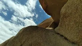 Joshua tree ca,  July 2021, mom