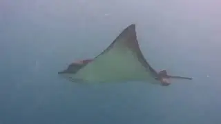Scuba Diving | dahab | red sea | Egypt