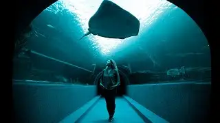 Nature doesn't depend on us, we depend on nature - Visiting Two Oceans Aquarium, Cape Town