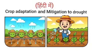 Crop adaptation and Mitigation to drought #drylands #bscagriculture #rainfed_agriculture #agronomy 