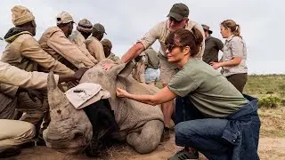 Helena Christensen x VETPAW