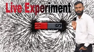 Discover the Magnetic Field of a Bar Magnet: Easy Science Experiment 