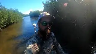 targeting reds and snook on Kayaks at Ozello FL