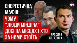 После Миндичгейта ничего не изменилось: государство продолжает терять миллиарды | Ярослав Железняк