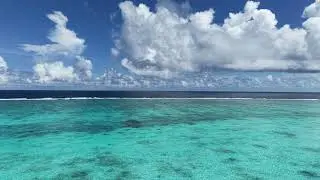 Palau パラオ 2025~2026