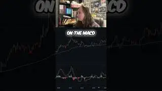 🐶 MACD Divergence = Meme Coin Bottom? Watch This Setup!