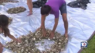 Shining a light on some of South Florida eco heroes
