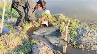 Smart Fish Hunting Method | Latest Fishing Technique || Fishing Hunting Videos 2026