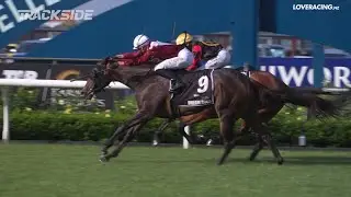 Dream Roca - Listed TAB Karaka Millions 2YO