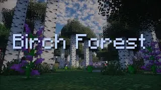 Relax In the beautiful Birch Forest (Minecraft Music and ambience)