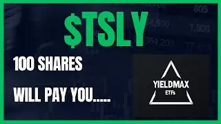 100 Shares of $TSLY will pay you&hellip;..
