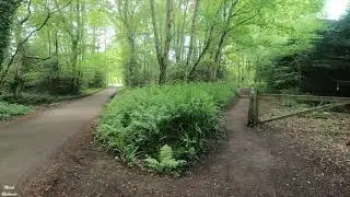Worplesdon, Surrey - Fancy Free Walks - 4 miles