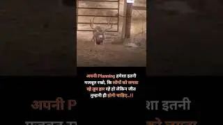 🔥best motivational video in hindi...#lastmotivation  #short #status #shayari #success #viralvideo
