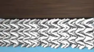 Carpet Source USA -SmartStrand Zoo Challenge