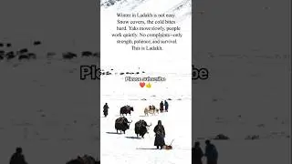 Winter in Ladakh is not easy.#ladakh #travel #mountains #india #leh